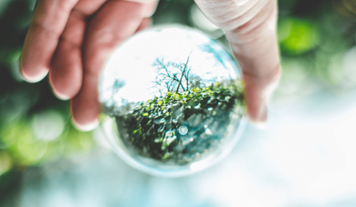 Hand holding glassball with nature scene